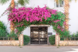 benefits of gated content